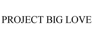 PROJECT BIG LOVE