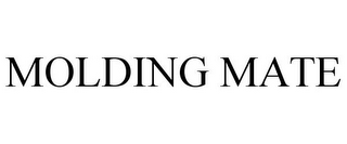 MOLDING MATE