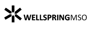 WELLSPRINGMSO