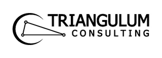 TRIANGULUM CONSULTING