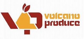 VP VOLCANO PRODUCE