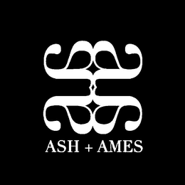 A ASH + AMES
