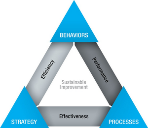 BEHAVIORS EFFICIENCY SUSTAINABLE IMPROVEMENT PERFORMANCE STRATEGY EFFECTIVENESS PROCESSES