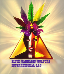 ELITE CANNABIS CULTURE INTERNATIONAL LLC