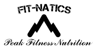 FIT-NATICS PEAK FITNESS NUTRITION