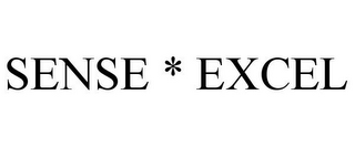 SENSE * EXCEL