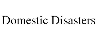 DOMESTIC DISASTERS