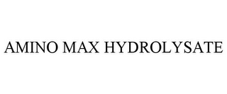 AMINO MAX HYDROLYSATE