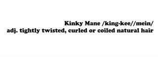 KINKY MANE /KING-KEE//MEIN/ ADJ. TIGHTLY TWISTED, CURLED OR COILED NATURAL HAIR