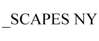 _SCAPES NY