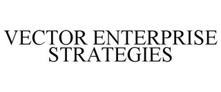 VECTOR ENTERPRISE STRATEGIES