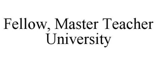 FELLOW, MASTER TEACHER UNIVERSITY