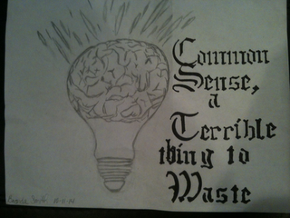 COMMON SENSE, A TERRIBLE THING TO WASTE BRENDA SMITH 10-11-14