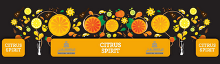 CITRUS SPIRIT (THREE TIMES) AL FAKHER SPECIAL EDITION (TWO TIMES)