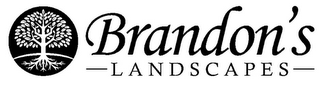 BRANDON'S LANDSCAPES
