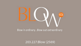 BLOWCO