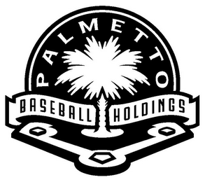 PALMETTO BASEBALL HOLDINGS