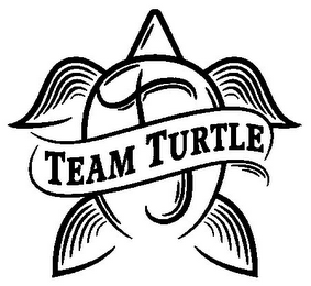 TEAM TURTLE