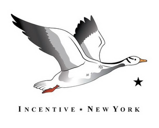 INCENTIVE NEW YORK