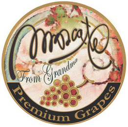 MUSCATEL FROM GRANDMA PREMIUM GRAPES