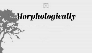 MORPHOLOGICALLY