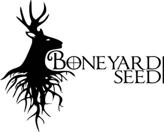 BONEYARD SEED