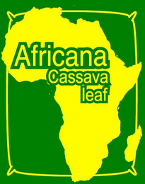 AFRICANA CASAVA LEAF