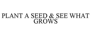 PLANT A SEED & SEE WHAT GROWS