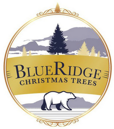 BLUE RIDGE CHRISTMAS TREES