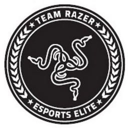 TEAM RAZER ESPORTS ELITE