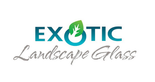 EXOTIC LANDSCAPE GLASS