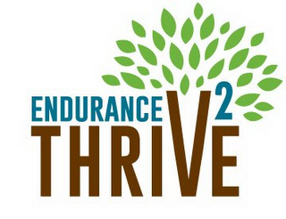 ENDURANCE 2 THRIVE