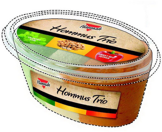 HOMMUS TRIO