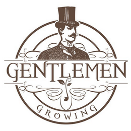 GENTLEMEN GROWING