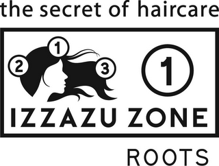 THE SECRET OF HAIRCARE 2 1 3 1 IZZAZU ZONE ROOTS