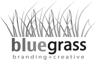 BLUEGRASS BRANDING + CREATIVE