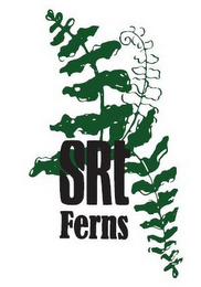 SRT FERNS