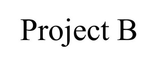 PROJECT B