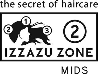 THE SECRET OF HAIRCARE IZZAZU ZONE MIDS