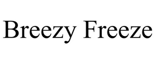 BREEZY FREEZE