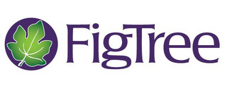 FIGTREE