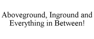 ABOVEGROUND, INGROUND AND EVERYTHING IN BETWEEN!