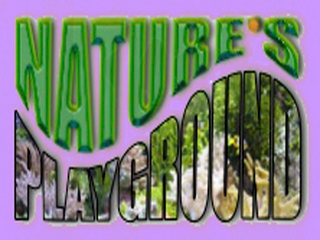 NATURE'S PLAYGROUND