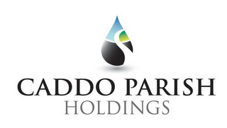 S CADDO PARISH HOLDINGS