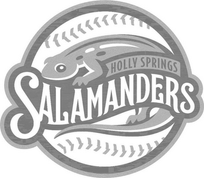 HOLLY SPRINGS SALAMANDERS