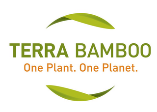 TERRA BAMBOO ONE PLANT. ONE PLANET.