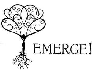 EMERGE!