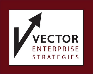 V VECTOR ENTERPRISE STRATEGIES