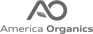 AO AMERICA ORGANICS