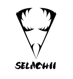 V SELACHII